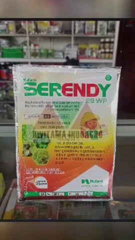 HERBISIDA SERENDY MEMBASMI GULMA REKOMENDASI TERBAIK DARI DWITAMA INDOAGRO #dwitamaindoagro