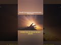 Android whale Cloud Game PC oyunları ücretsiz oynama merkezi
