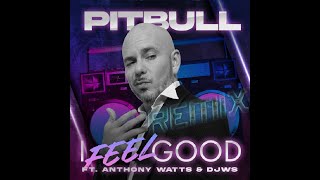 Pitbull Ft. Anthony Watts & DJWS - I Feel Good (JFlash Remix Video Edit) Resimi