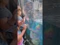 Otter Swimming at the Monterey Bay Aquarium PT. 8