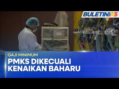 GAJI MINIMUM | PMKS Dikecualikan Daripada Kenaikan Kadar Gaji Minimum - Steven Sim (BU)