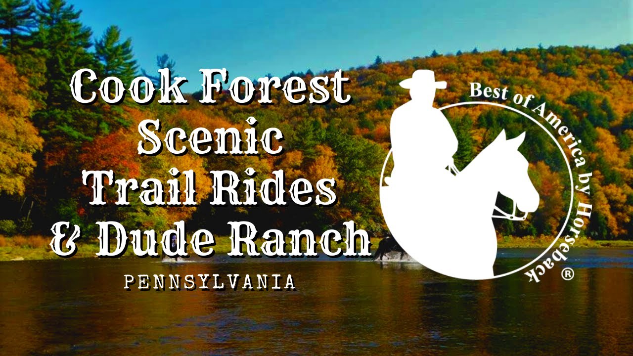 Cook Forest Scenic Trail Rides & Dude Ranch - PA (2019)
