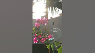 حالات واتس اب قران ♥️🖇️|| حالات واتس قرأن || تلاوة خاشعة || Quran Status🖇️💙 اية قرانية قصيره🎧❤️