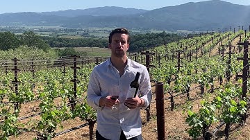 Merryvale Vineyards Winemaker Video - 2015 Cabernet Sauvignon, Napa Valley