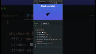 Check Animation in CSS