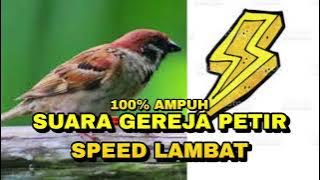 MASTERAN GEREJA TARUNG NONSTOP 1 JAM SPEED LAMBAT JAMIN AMPUH_ @sultanakbar