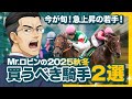 【競馬予想】帯封ゲットも夢じゃない!? 今が旬の買うべき穴騎手
