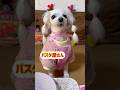 【喋る犬】必殺技でますwちょこっと動画No.71 #しゃべる犬 #かわいい犬 #おもしろ犬 #賢い犬 #kawaii #犬のいる生活 #hatsunemiku #初音ミク