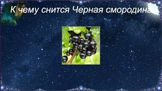 К чему снится Черная смородина (Сонник)