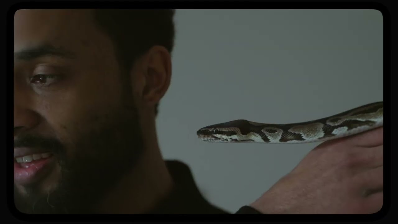 YouTubeでYonidas - Carbu (Clip officiel)を視聴