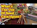 Whats the use of seed gardening catalogues  hertfordshire allotment life