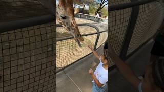 The Giraffe Almost Ate Her Fingers!! 🦒😱