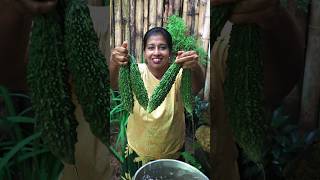 Bitter Gourd Masala Curry ♥️ Healthy Village Food