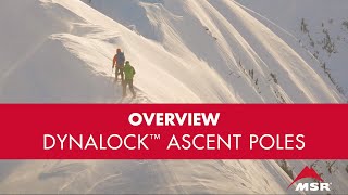 MSR DynaLock™ Ascent Carbon Poles