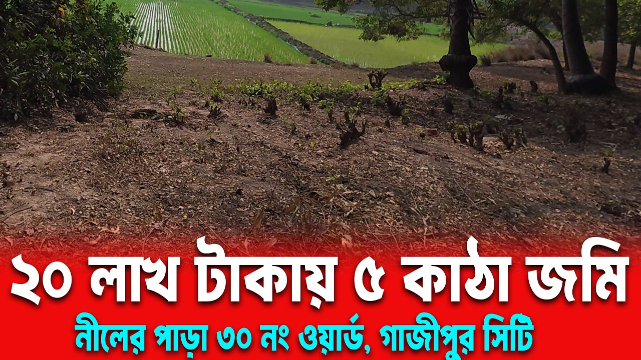 মাত্র  ২০ লাখ টাকা ৫ কাঠা জমি বিক্রি | ৩০ নং ওয়ার্ড নীলের পাড়ায় | Low Budget Land Gazipur City