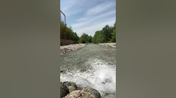 قراءة خاشعة للشبخ هيثم الدخين من سورة غافر