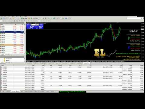 Master forex penipu