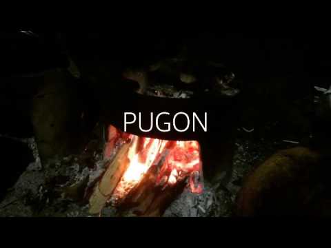 Pugon Youtube