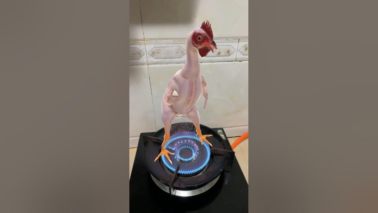 Chicken Dance With Friends ππ #chickendance #chickensong Chicken Dance With Friends ππ #chickendance #chickensong