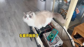 铲屎官又整活拆车了，猫咪震惊到合不上嘴 by 猪娣儿是一只猫 322 views 2 days ago 5 minutes, 23 seconds