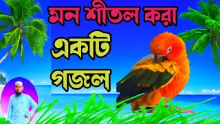 হৃদয়ে শীতল করা একটি গজল।। বাংলা গজল । bangla Gojol 2023// gojol// gahzal//