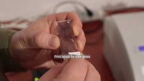 3DHISTECH - Track & Sign Demonstration - Sectioning