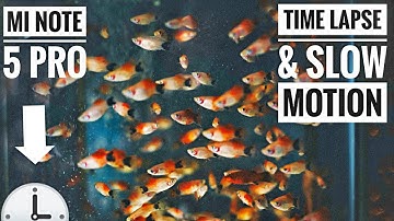 Mi Note 5 Pro Time-Lapse & Slow-Motion 🕒📱