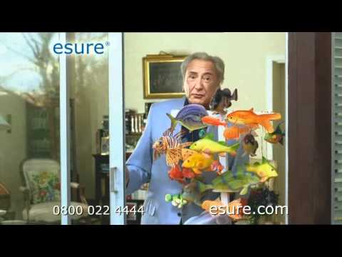 eSure Home Insurance - Michael Winner (Calm down dear...)