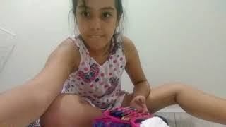 Mostrando O Meu Material Escolar 2019 E Organizando Meu Estojo