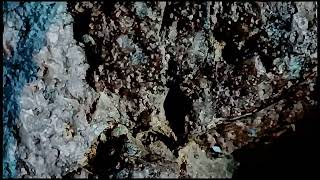 Lunar Meteorite regolith breccia - MacAlpine Hills 88106