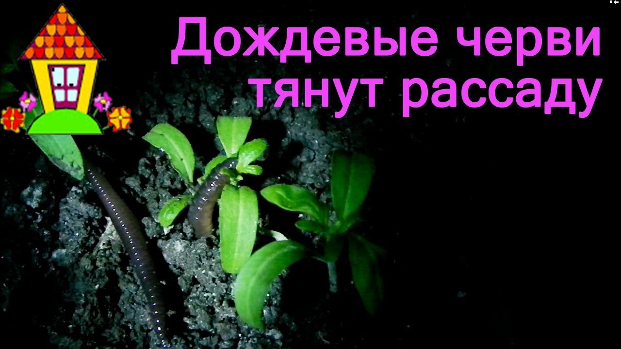 Почему пропадает антифриз