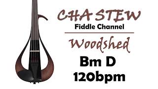 Pentatonic Scale Woodshed Bm D major 120bpm  ::  Gypsy Jazz Fiddle Backing Track