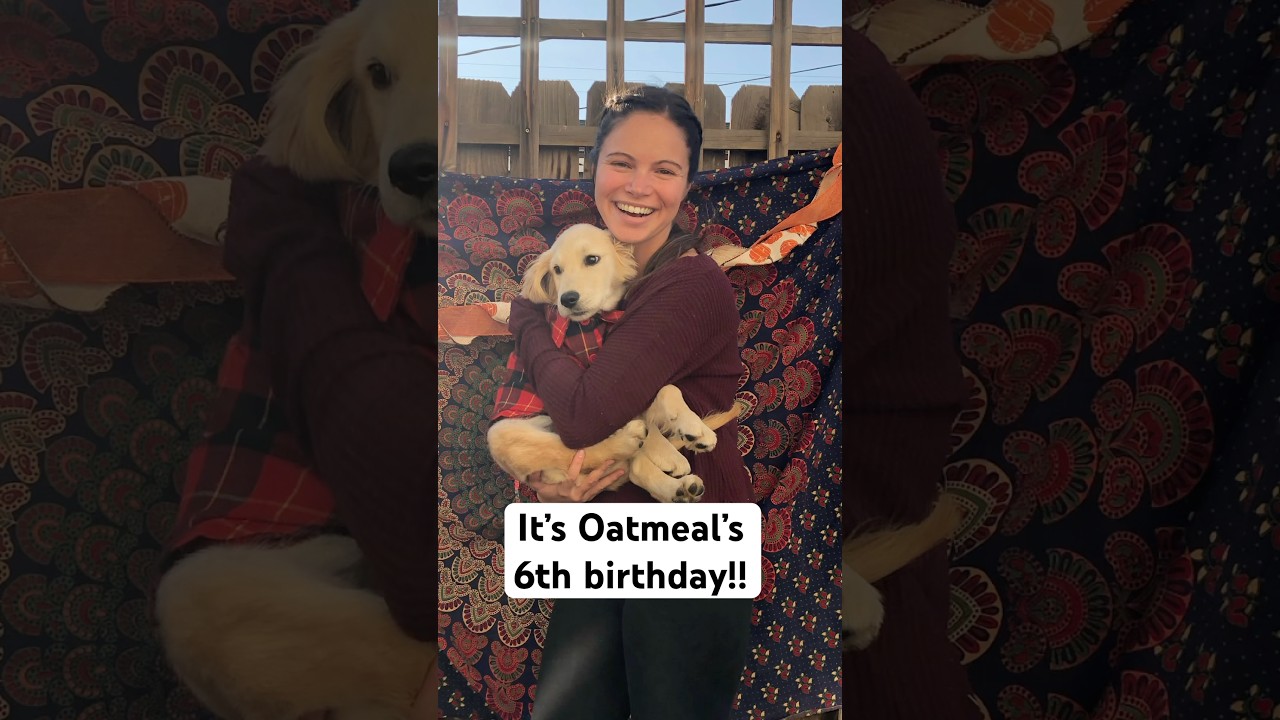 Happy Birthday to the strangest dog I’ve ever met 🎉🫶 
