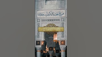 إِنَّ الَّذِينَ يُؤْذُونَ اللَّهَ وَرَسُولَهُ || سورة الأحزاب || علي جابر
