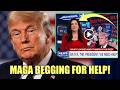 MAGA HOST BEGS TRUMP FOR STIMULUS CHECKS!