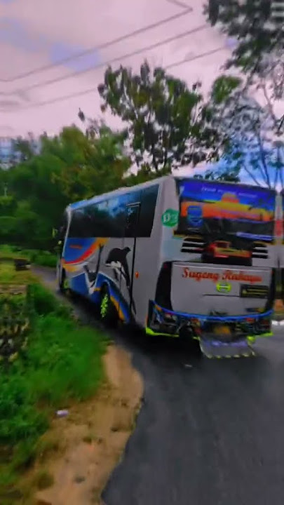 Story' WA bus SUGENG RAHAYU PELURU MALAM