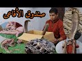 اخطر واغرب صندوق هدايا فى العالم/ ثعابين وافاعى سامة داخل الصندوق مع احمد الدكرونى