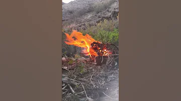 سر خوردن سگ روی ماسه آتیش گرم گردش 