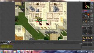 Tibia - Question and Answer (Part 3)