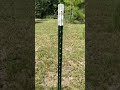 Best Deer Fence Netting For Fruit Tree Safety