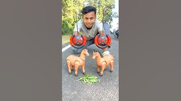 Two Rc Horse Testing 🐎😃👍