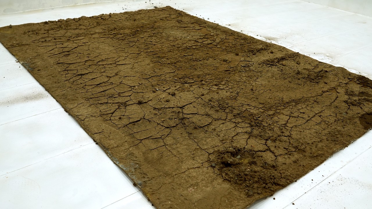 Colored Dirty Carpet Cleaning Satisfying Rug Cleaning ASMR - Satisfying Video, Carpet Cleaning