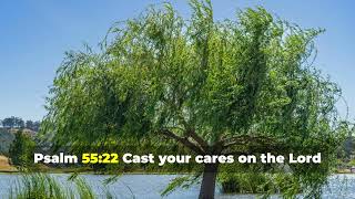 Encouraging Bible Verses to Dwell On | Relax | Peaceful | God's Protection