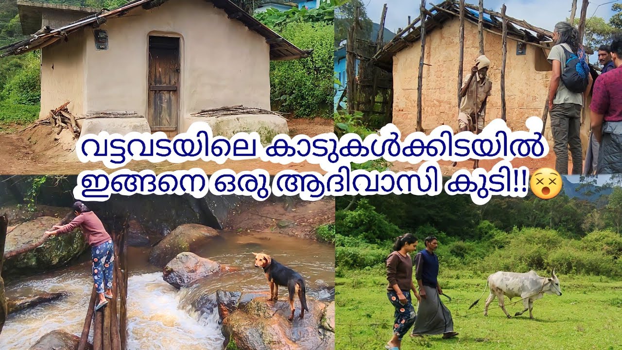 Tribal village | Vattavada |കാടിനെ അറിയുന്ന വട്ടവടയിലെ മനുഷ്യരും ആദിവാസി കുടിയും | 4K 
