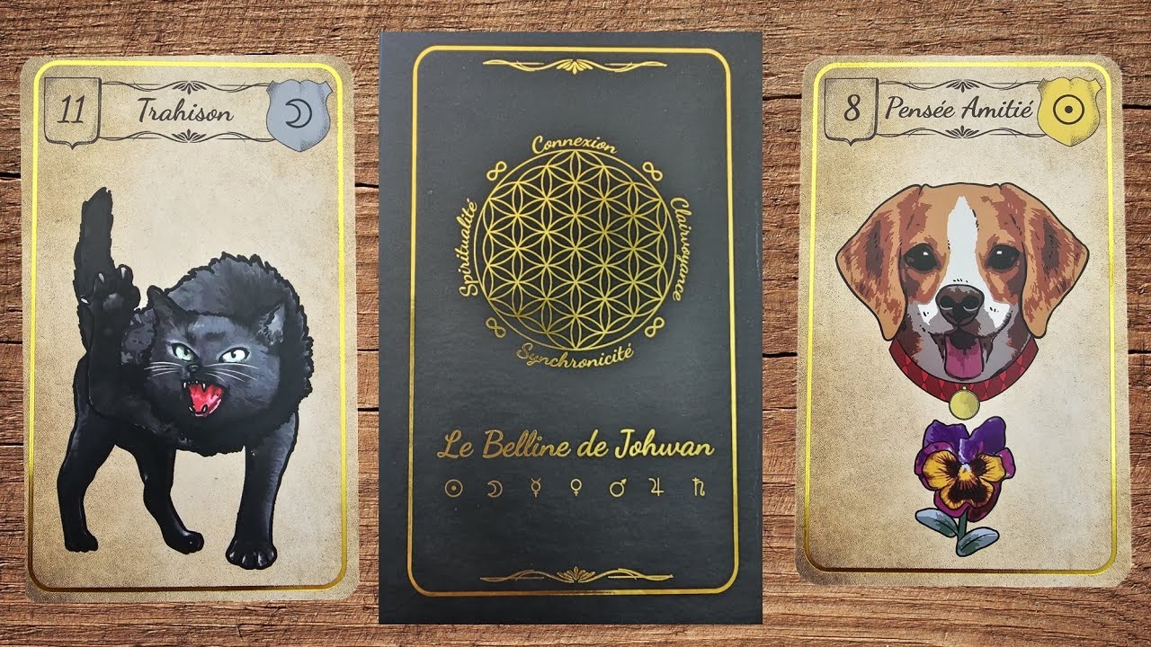 🔮⭐️Le magnifique Belline de Johwan, édition prestige de @JohWanGuidance⭐️🔮