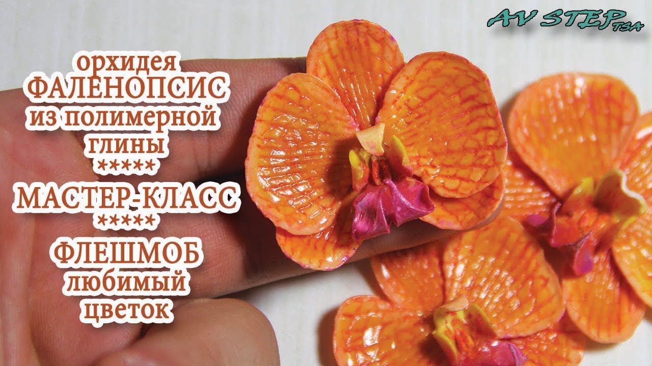 ФАЛЕНОПСИС : ФЛЕШМОБ : ОРХИДЕЯ ИЗ ПОЛИМЕРНОЙ ГЛИНЫ : МАСТЕР-КЛАСС