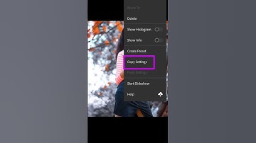 Lightroom copy and paste setting