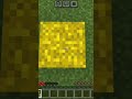 #viralshorts@minecraft