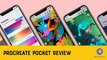 Procreate Pocket for the iPhone Review