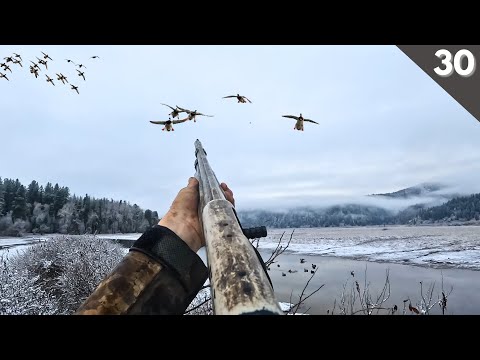 TINY Warm Water CREEK Duck Hunting Best Decoying MALLARDS Of The Season